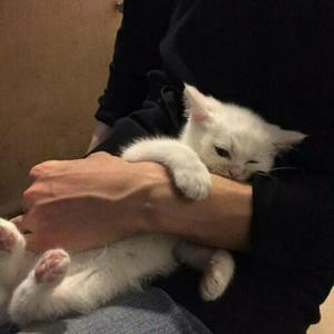 国内男女真人做爱猛猛视频
