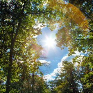 国内男女真人做爱猛猛视频
