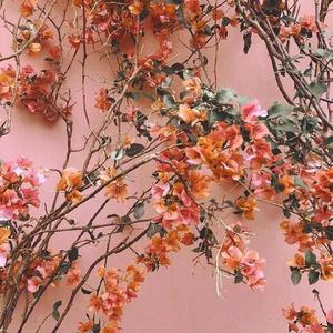 国内男女真人做爱猛猛视频
